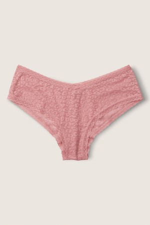 Victoria's Secret Kanten Logo Cheeky Knickers Wit | 03241-ZURK